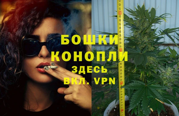 эйфоретик Осинники