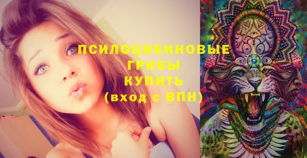 эйфоретик Осинники