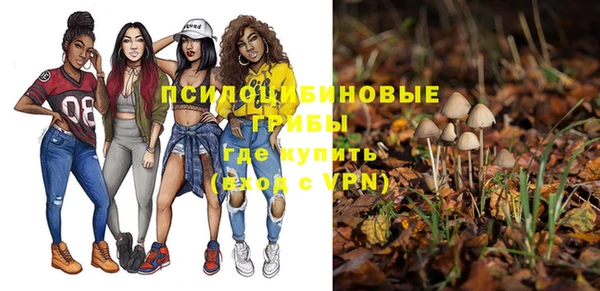 эйфоретик Осинники