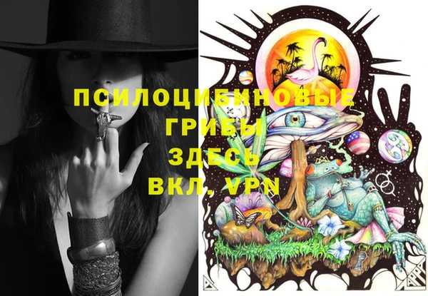 эйфоретик Осинники