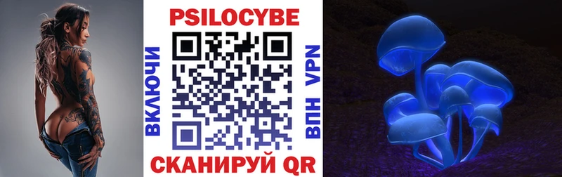 Галлюциногенные грибы прущие грибы  продажа наркотиков  Алзамай 